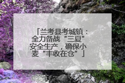 兰考县考城镇：全力备战“三夏”安全生产，确保小麦“丰收在仓”