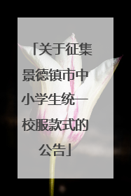 关于征集景德镇市中小学生统一校服款式的公告