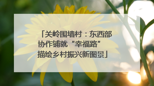 关岭围墙村：东西部协作铺就“幸福路” 描绘乡村振兴新图景