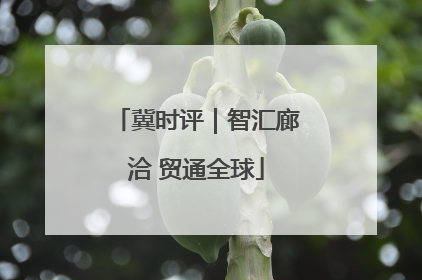冀时评｜智汇廊洽 贸通全球