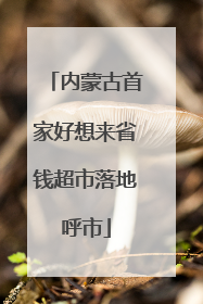 内蒙古首家好想来省钱超市落地呼市