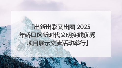 出新出彩又出圈 2025年硚口区新时代文明实践优秀项目展示交流活动举行