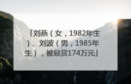 刘燕（女，1982年生）、刘波（男，1985年生），被悬赏174万元
