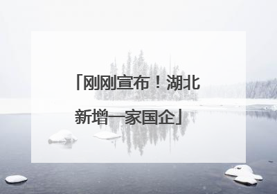 刚刚宣布！湖北新增一家国企