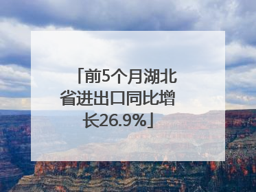 前5个月湖北省进出口同比增长26.9%