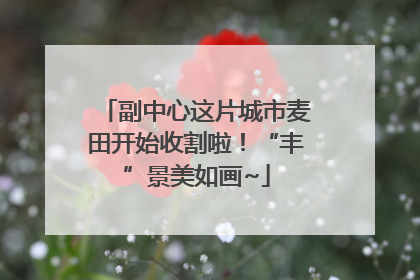 副中心这片城市麦田开始收割啦！“丰”景美如画~