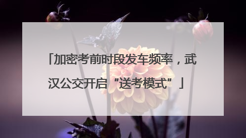 加密考前时段发车频率，武汉公交开启“送考模式”