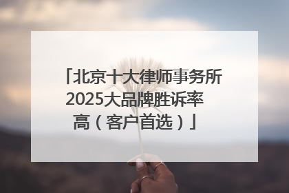 北京十大律师事务所2025大品牌胜诉率高（客户首选）