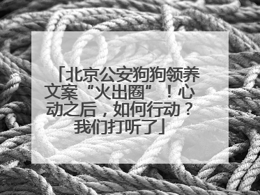 北京公安狗狗领养文案“火出圈”！心动之后，如何行动？我们打听了