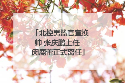 北控男篮官宣换帅 张庆鹏上任 闵鹿蕾正式离任