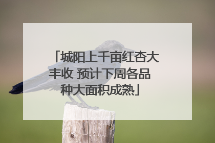 城阳上千亩红杏大丰收 预计下周各品种大面积成熟