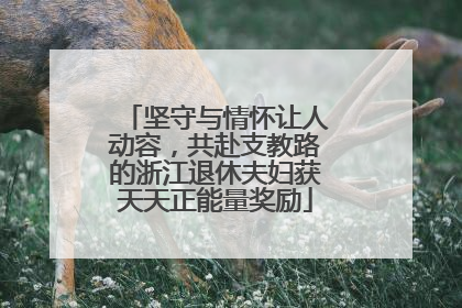坚守与情怀让人动容，共赴支教路的浙江退休夫妇获天天正能量奖励