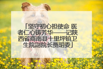 坚守初心担使命 医者仁心铸芳华——记陕西省商南县十里坪镇卫生院副院长贾胡委