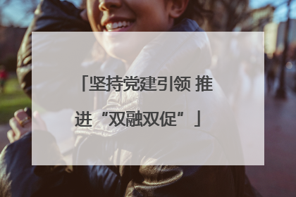 坚持党建引领 推进“双融双促”