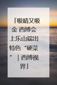 吸睛又吸金 西博会上乐山端出特色“硬菜”｜西博视界