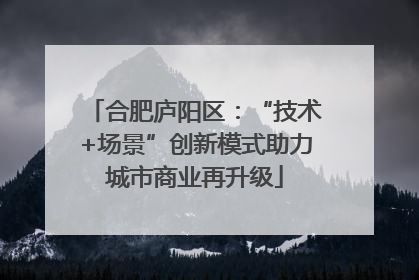 合肥庐阳区：“技术+场景”创新模式助力城市商业再升级