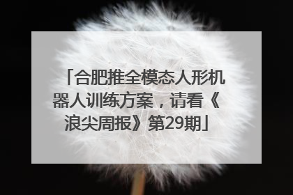 合肥推全模态人形机器人训练方案，请看《浪尖周报》第29期