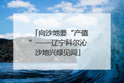 向沙地要“产值”——辽宁科尔沁沙地兴绿见闻