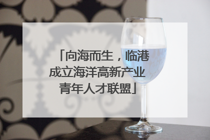 向海而生，临港成立海洋高新产业青年人才联盟