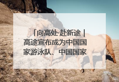 向高处·赴新途｜高途宣布成为中国国家游泳队、中国国家花样游泳队官方学习合作伙伴