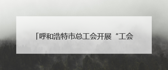 呼和浩特市总工会开展“工会促消费 会员享普惠”活动