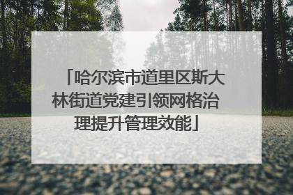 哈尔滨市道里区斯大林街道党建引领网格治理提升管理效能