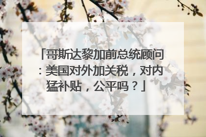 哥斯达黎加前总统顾问：美国对外加关税，对内猛补贴，公平吗？