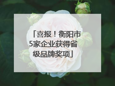 喜报！衡阳市5家企业获得省级品牌奖项