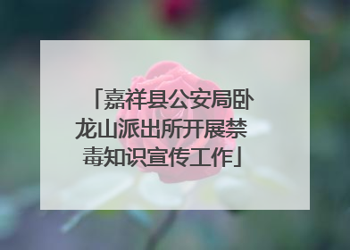 嘉祥县公安局卧龙山派出所开展禁毒知识宣传工作