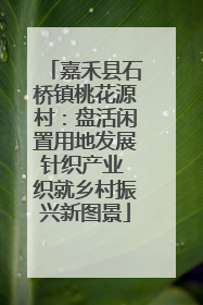 嘉禾县石桥镇桃花源村：盘活闲置用地发展针织产业 织就乡村振兴新图景