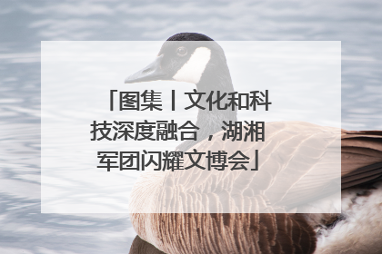 图集丨文化和科技深度融合，湖湘军团闪耀文博会