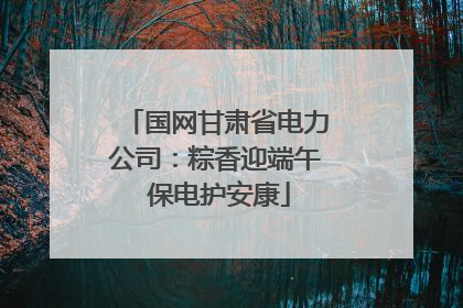 国网甘肃省电力公司：粽香迎端午 保电护安康