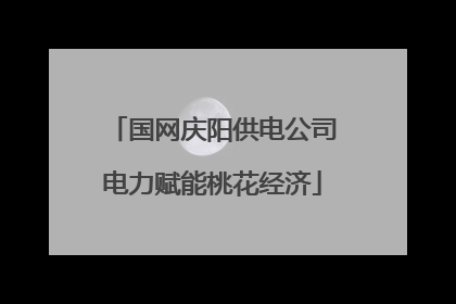 国网庆阳供电公司电力赋能桃花经济