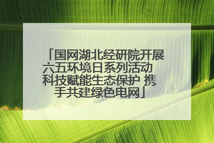 国网湖北经研院开展六五环境日系列活动 科技赋能生态保护 携手共建绿色电网