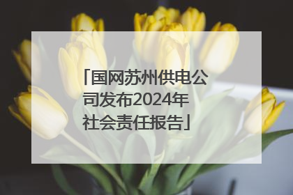 国网苏州供电公司发布2024年社会责任报告