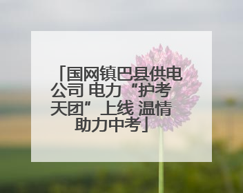国网镇巴县供电公司 电力“护考天团”上线 温情助力中考