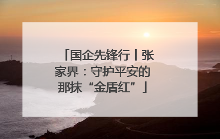 国企先锋行丨张家界：守护平安的那抹“金盾红”