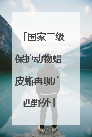 国家二级保护动物蜡皮蜥再现广西野外