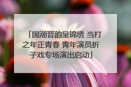 国潮晋韵呈锦绣 当打之年正青春 青年演员折子戏专场演出启动