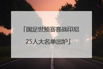 国足世预赛客战印尼25人大名单出炉