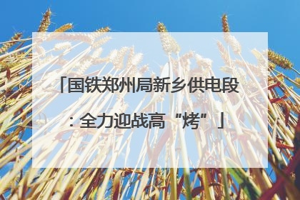 国铁郑州局新乡供电段：全力迎战高“烤”