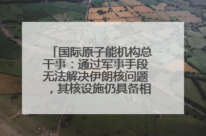 国际原子能机构总干事：通过军事手段无法解决伊朗核问题，其核设施仍具备相关产能，只需要数月就能生产出浓缩铀