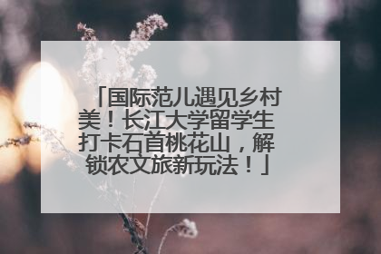 国际范儿遇见乡村美！长江大学留学生打卡石首桃花山，解锁农文旅新玩法！