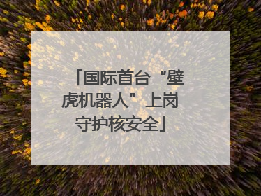 国际首台“壁虎机器人”上岗守护核安全