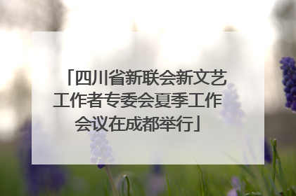四川省新联会新文艺工作者专委会夏季工作会议在成都举行