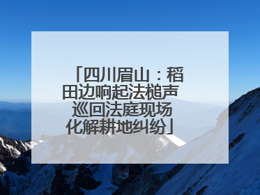 四川眉山：稻田边响起法槌声 巡回法庭现场化解耕地纠纷