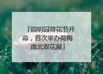 圆明园荷花节开幕，首次举办荷梅南北双花展