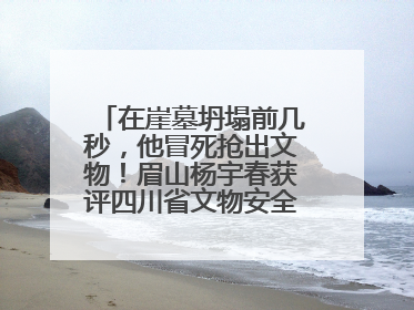 在崖墓坍塌前几秒，他冒死抢出文物！眉山杨宇春获评四川省文物安全守护者