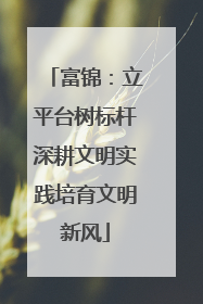 富锦：立平台树标杆深耕文明实践培育文明新风