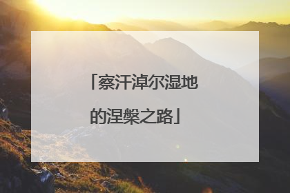 察汗淖尔湿地的涅槃之路